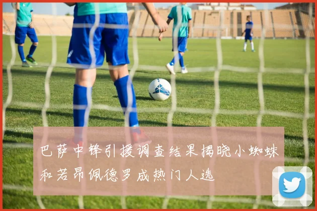 巴萨中锋引援调查结果揭晓小蜘蛛和若昂佩德罗成热门人选